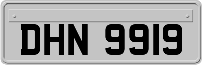 DHN9919