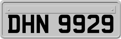 DHN9929