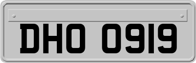 DHO0919