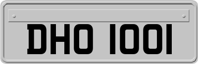 DHO1001
