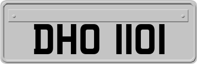 DHO1101