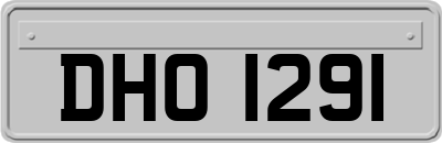 DHO1291