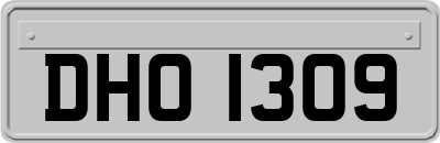 DHO1309