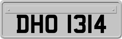 DHO1314