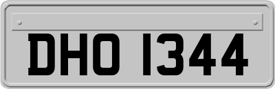 DHO1344