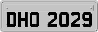 DHO2029