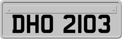DHO2103