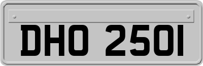 DHO2501