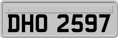 DHO2597