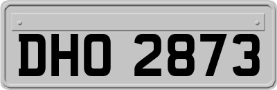 DHO2873
