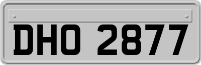 DHO2877