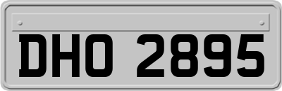 DHO2895