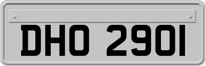 DHO2901