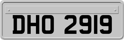 DHO2919