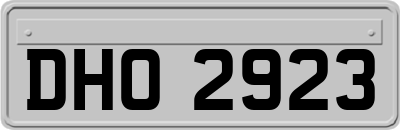 DHO2923