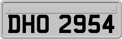 DHO2954
