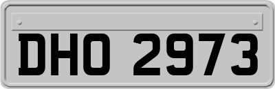DHO2973
