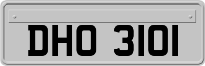 DHO3101