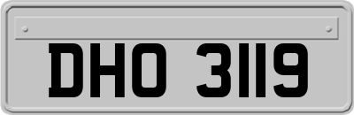 DHO3119