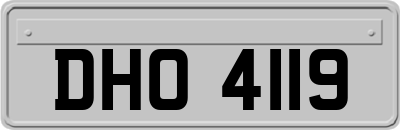 DHO4119