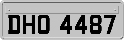 DHO4487