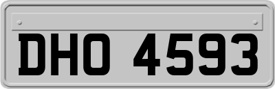 DHO4593