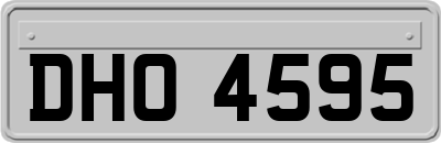 DHO4595