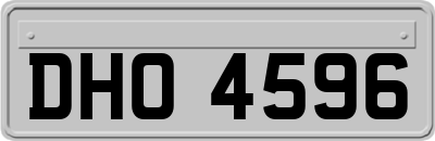 DHO4596