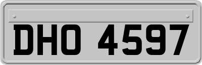 DHO4597