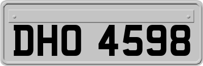 DHO4598