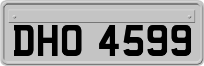 DHO4599