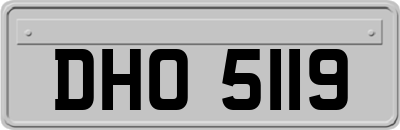DHO5119
