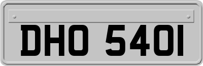DHO5401