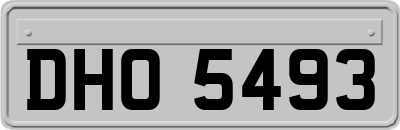 DHO5493