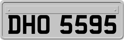 DHO5595