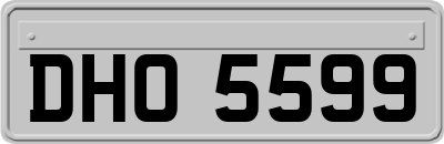 DHO5599