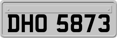 DHO5873