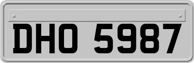DHO5987
