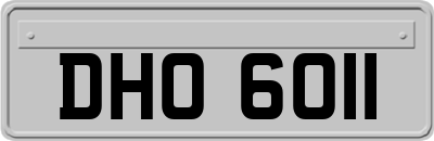 DHO6011