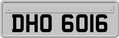 DHO6016