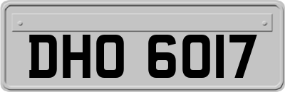 DHO6017