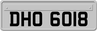 DHO6018