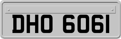 DHO6061