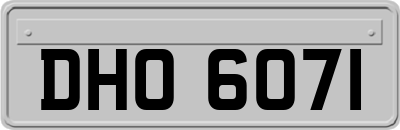 DHO6071