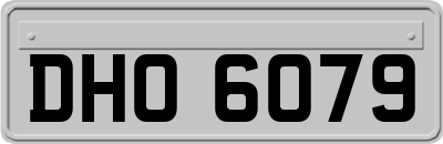 DHO6079