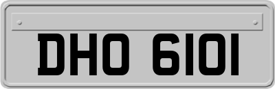 DHO6101