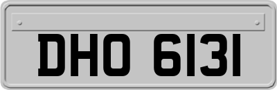DHO6131