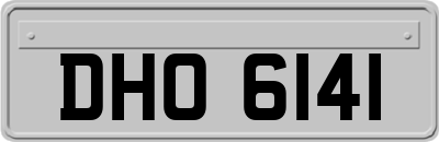 DHO6141