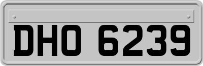 DHO6239