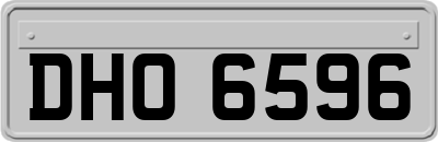 DHO6596
